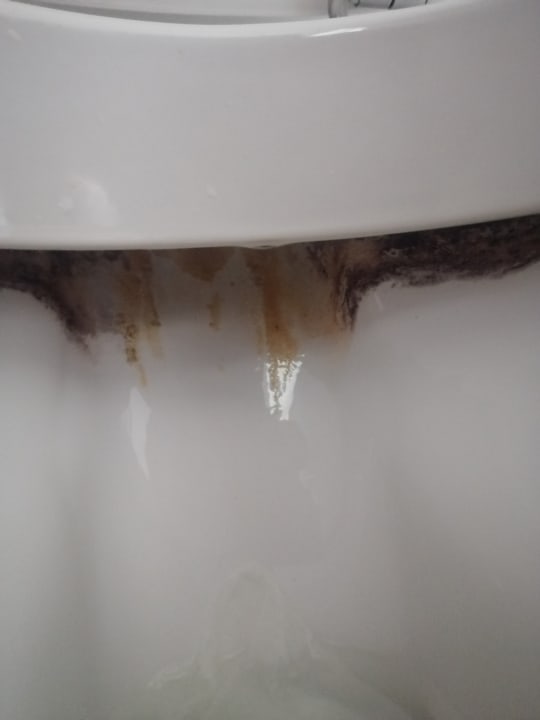 Zimmer Hotel Gasthof Ochsen