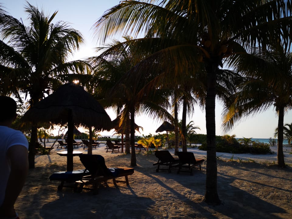 Gartenanlage Villas HM Paraiso del Mar