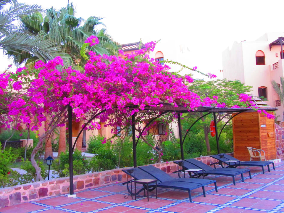 Farbenfroh Steigenberger Coraya Beach - Adults only