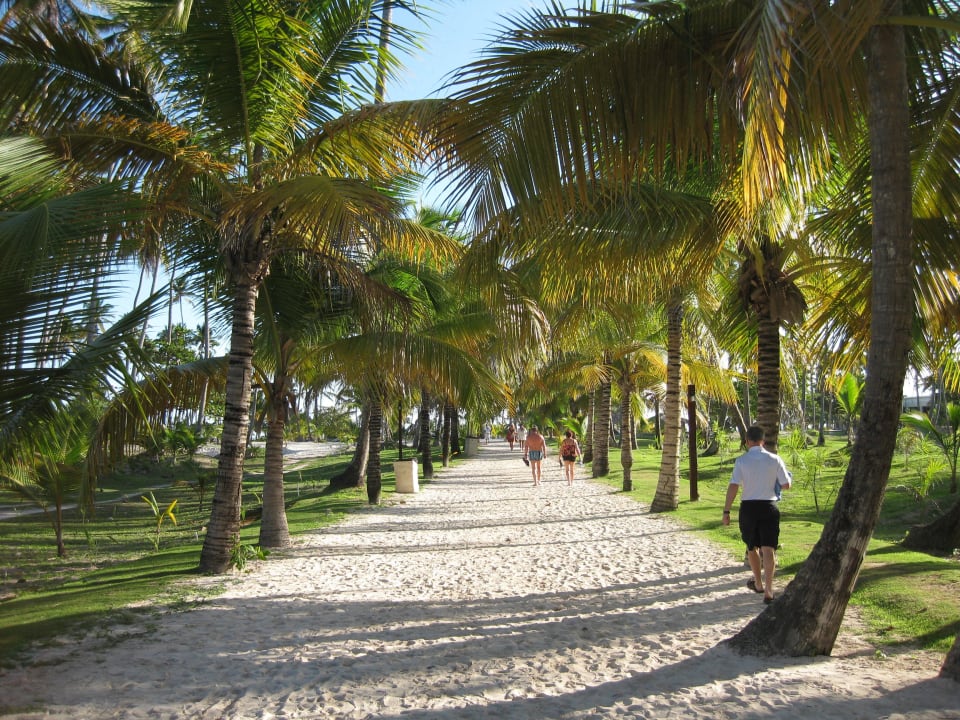 Weg zum Strand Villas Bavaro Resort & Spa