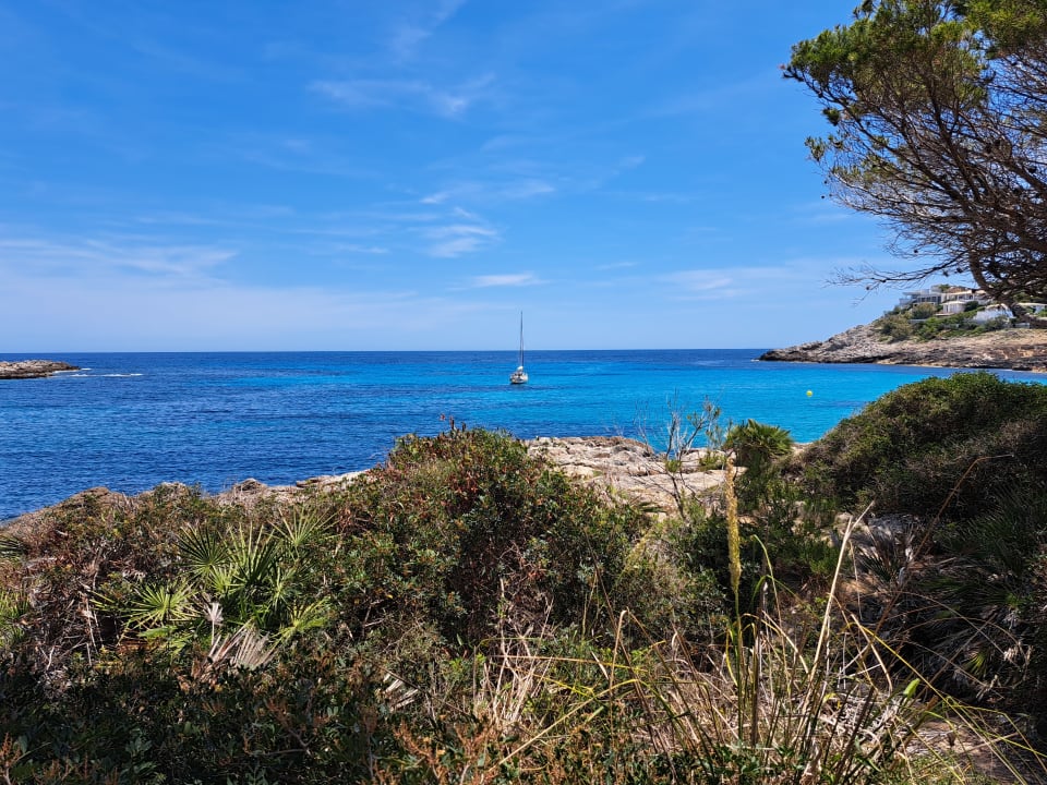 Ausblick Iberostar Waves Pinos Park