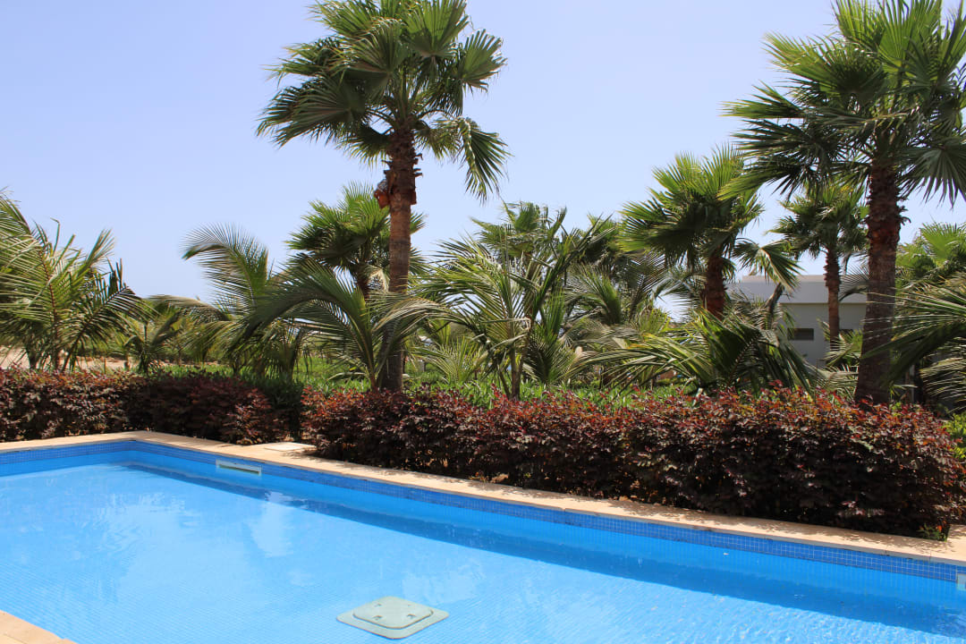 Pool Hotel Riu Palace Boavista