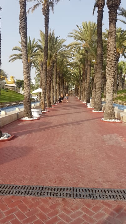 Gartenanlage Monachus Family Resort Sorgun
