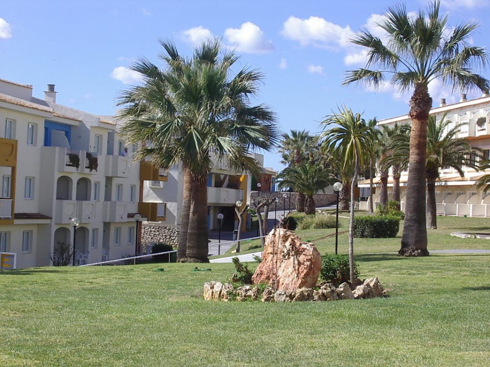 Garten blau punta reina