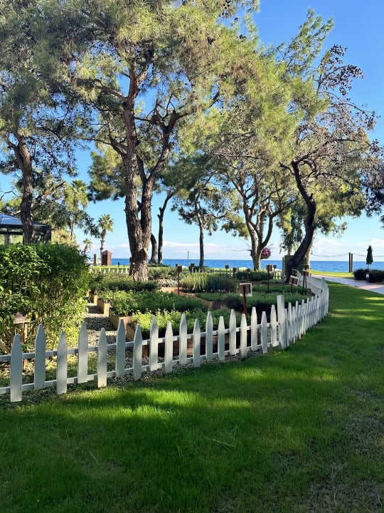 Gartenanlage TUI MAGIC LIFE Beldibi +16