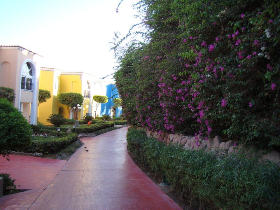 Сад Savoy Sharm El Sheikh