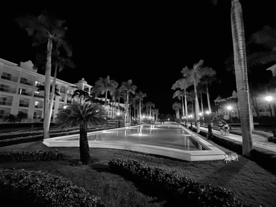 Außenansicht Hotel Riu Palace Punta Cana