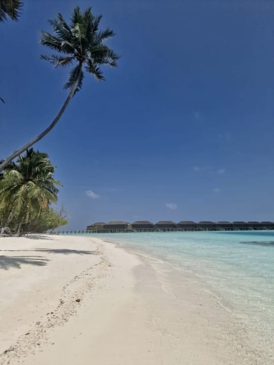 Strand Meeru Maldives Resort Island