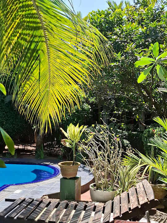 Gartenanlage Hotel Bentota Village