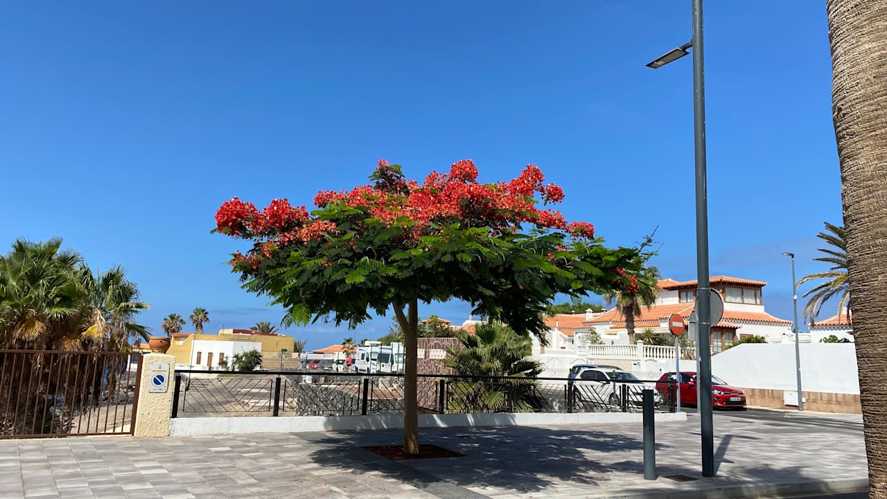 Sonstiges Hotel Riu Palace Tenerife