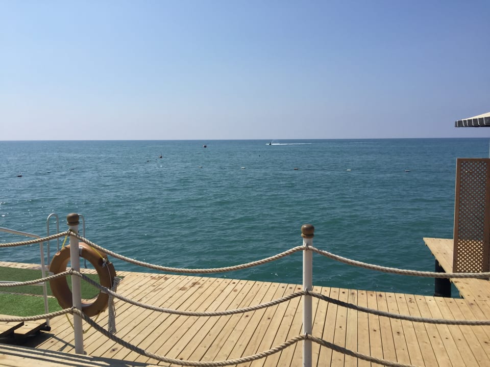 Strand Royal Seginus