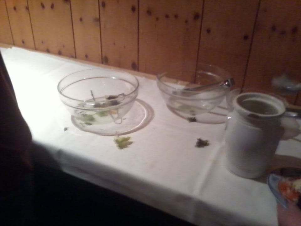 Salatbüffet DORMERO Hotel Freudenstadt