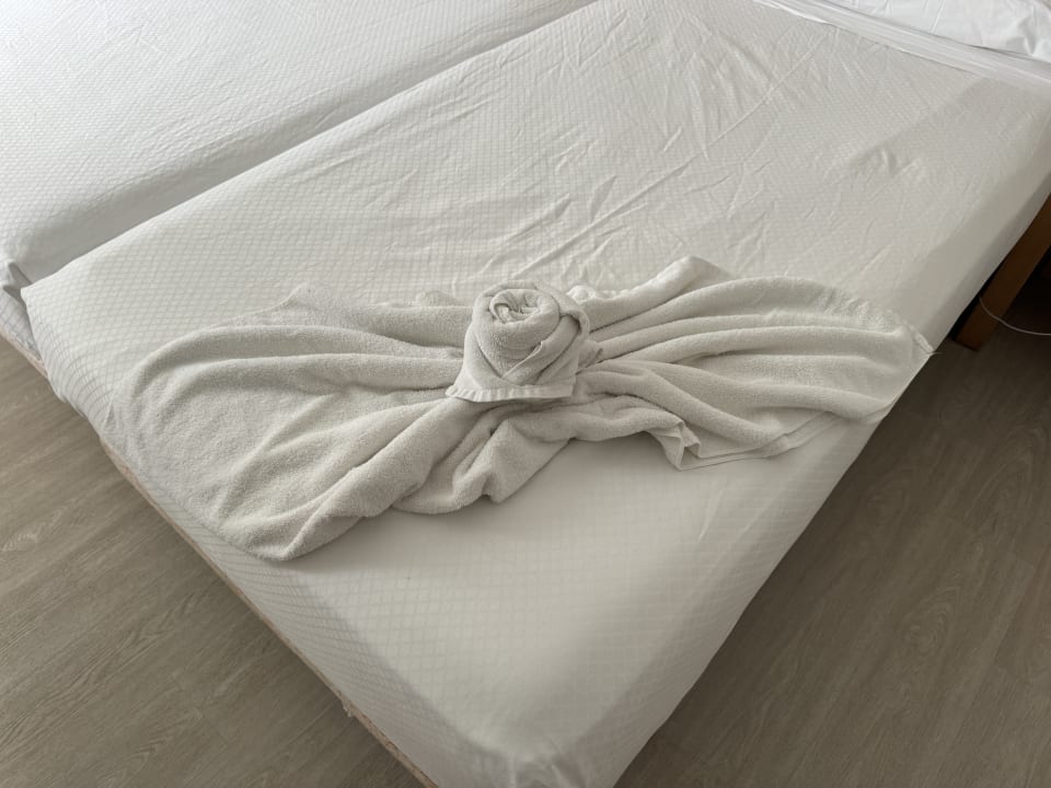 Zimmer Hipotels Mediterraneo Club