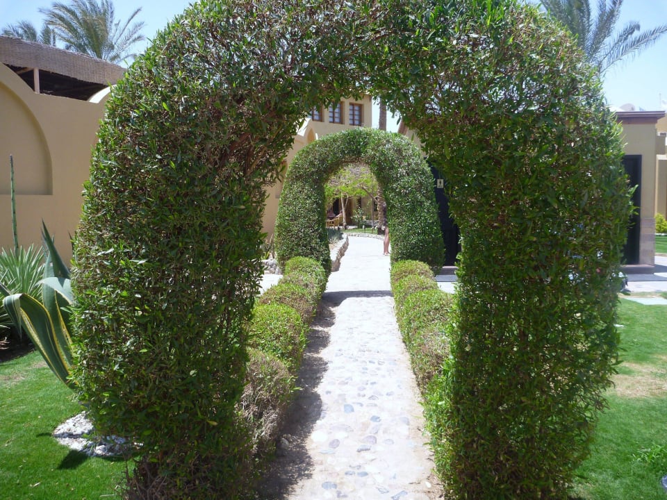 Alles sahe sauber Jaz Makadina