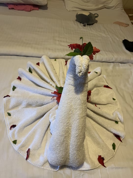 Zimmer Ghazala Beach