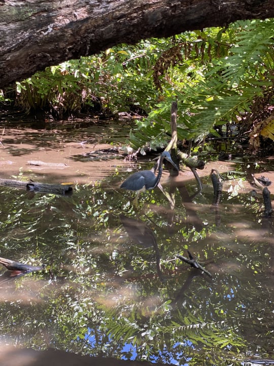 Gartenanlage Caribe Deluxe Princess