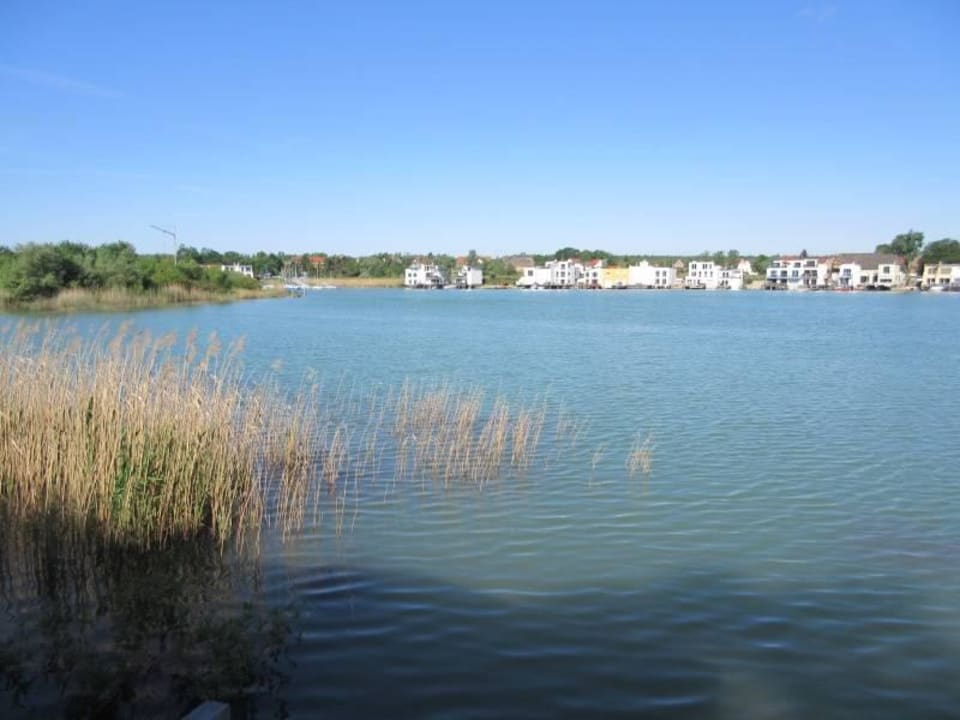 Seepanorama Ferienhaus Seepferdchen im Hainer See