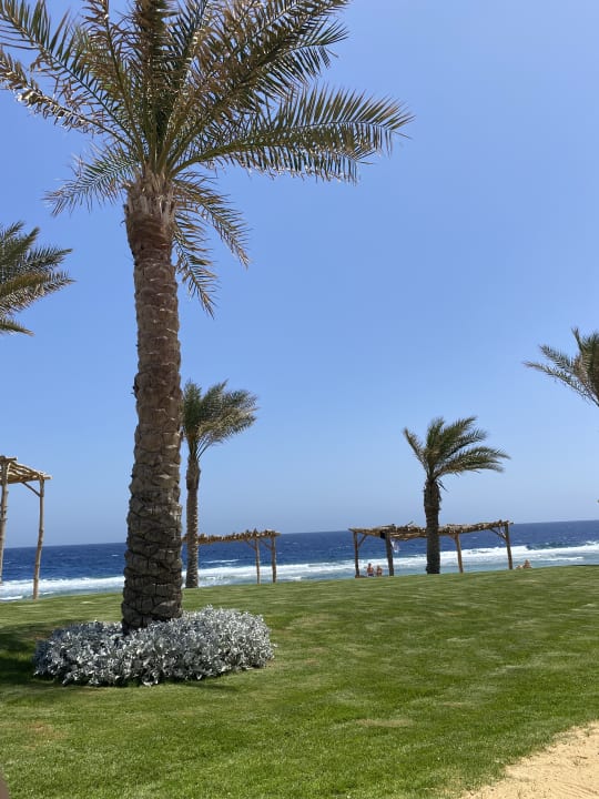 Gartenanlage Steigenberger Resort Alaya Marsa Alam - Red Sea - Adults only