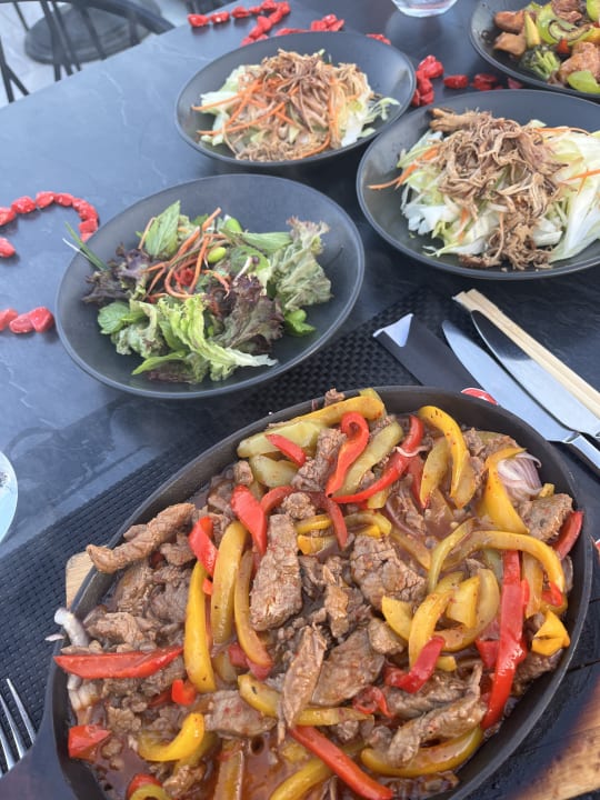 Gastro Paloma Oceana