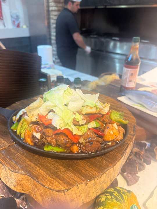 Gastro Seashell Vega