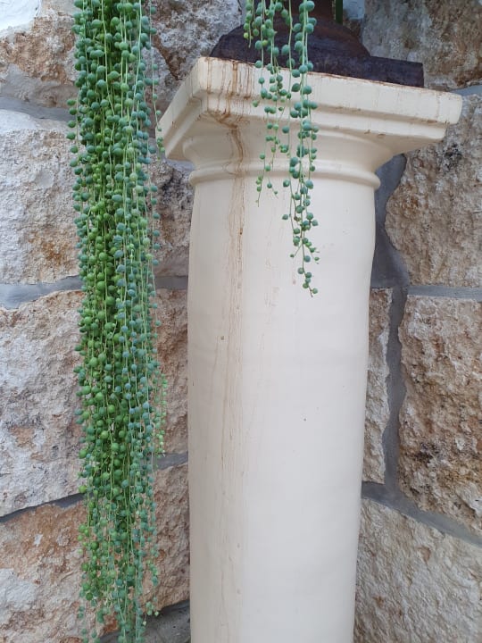 Sonstiges LIFESTYLE Resort Zum Kurfürsten