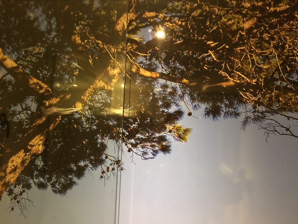 Sonstiges whala!beach