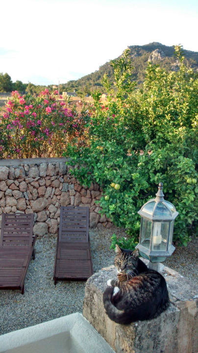 ........ Hotel Finca Can Paulino