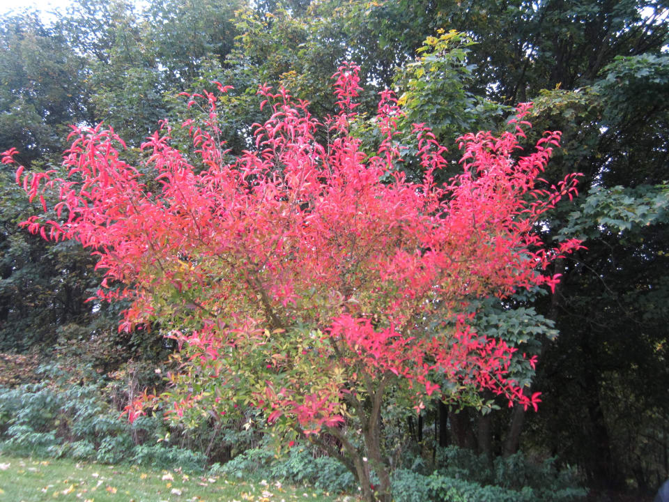 Park Hapimag Resort Winterberg