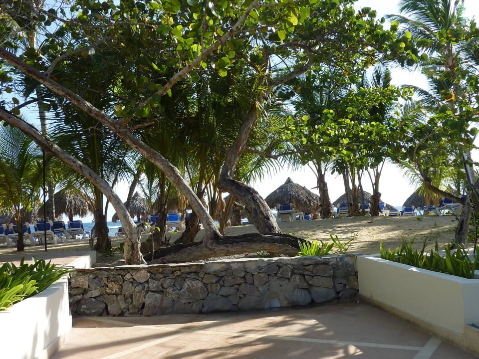 Weg zum Strand Bahia Principe Grand El Portillo