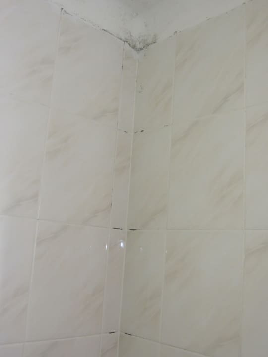 Schimmel im Bad Hotel Hyde Park Lane