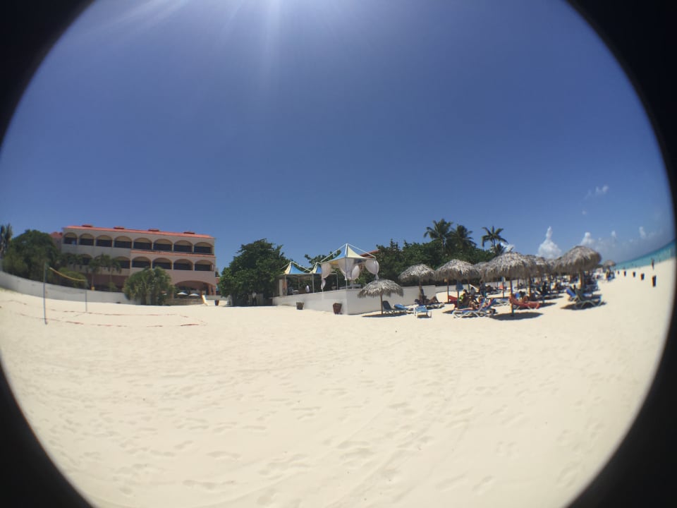 Strand Starfish Cuatro Palmas