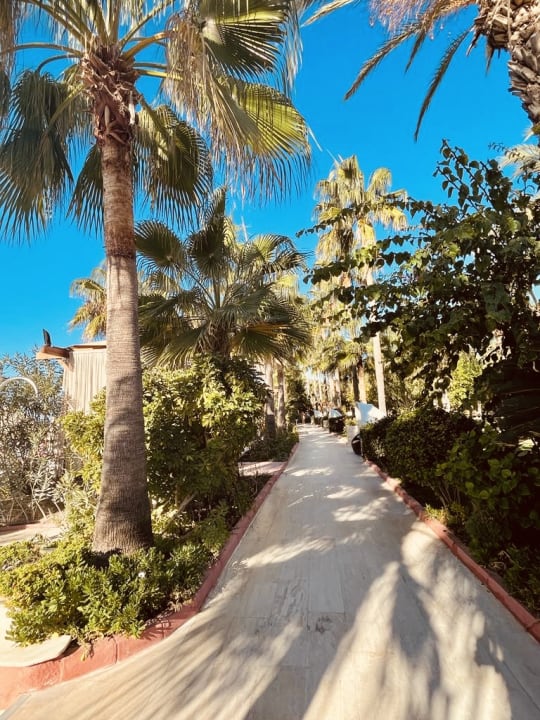 Gartenanlage Saphir Resort & Spa