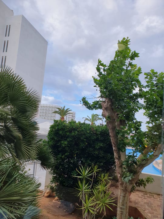 Gartenanlage La Santa Maria Hotel