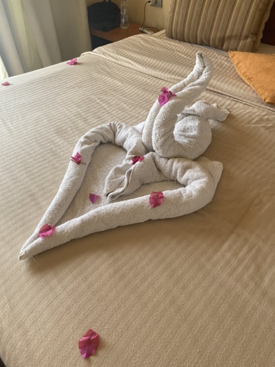 Zimmer Grand Waterworld Makadi & Family Star Makadi