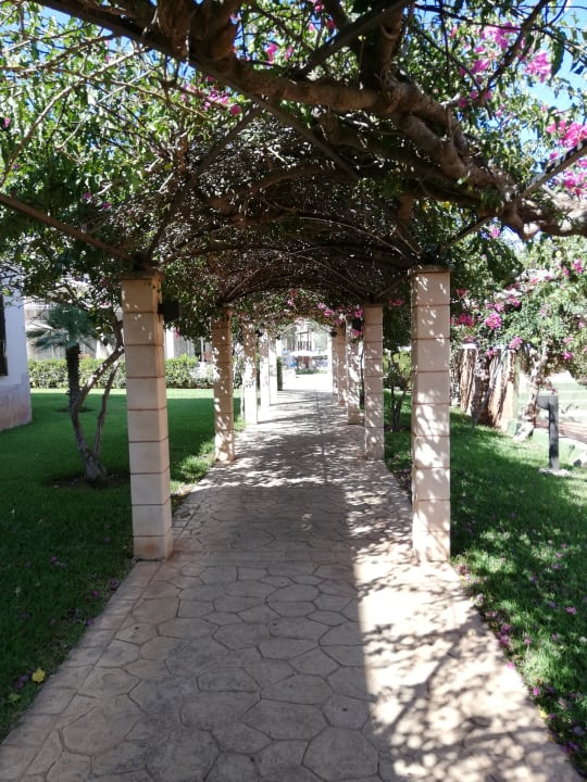 Gartenanlage Protur Floriana Resort Aparthotel