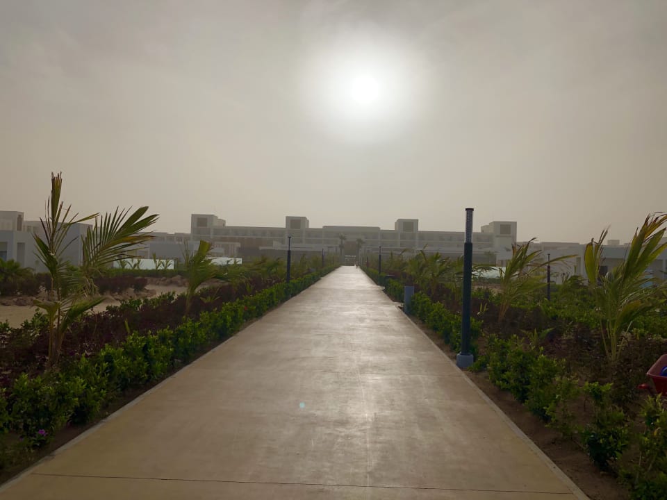 Ausblick Hotel Riu Palace Boavista