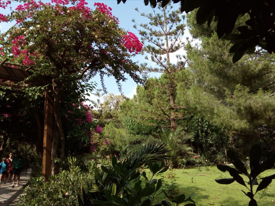 Gartenanlage Apollonia Beach Resort & Spa