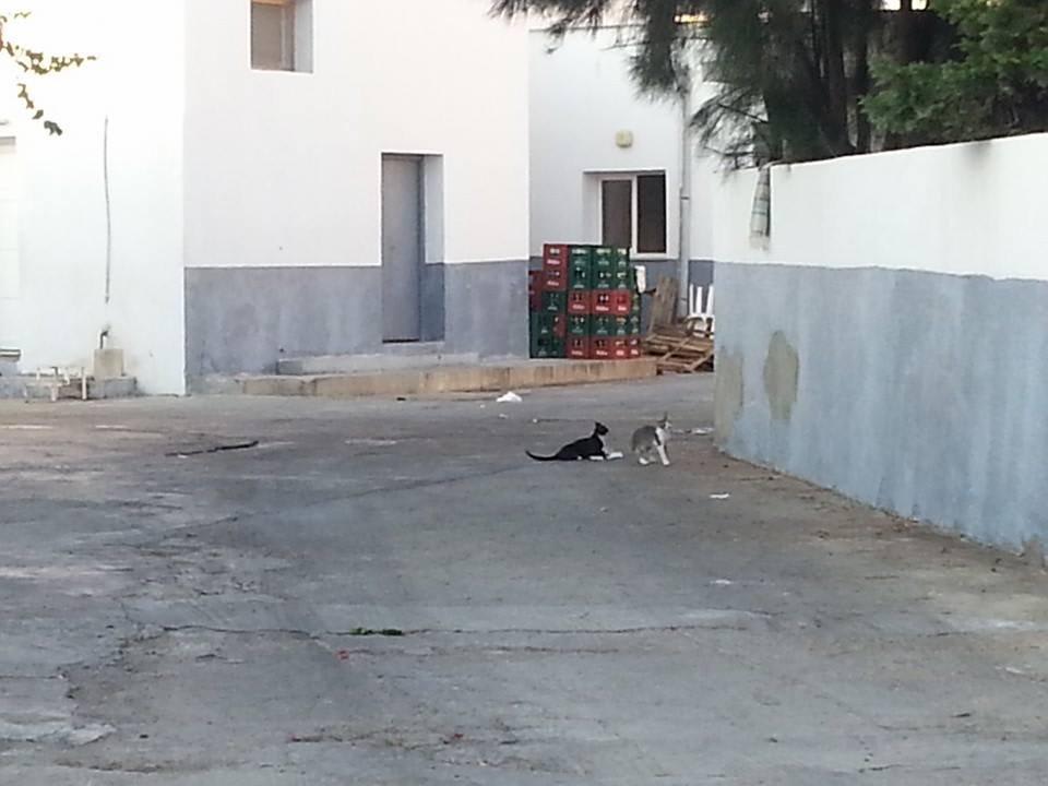 Hinter den Kulissen 2014 Alassio Hotel and Thalasso