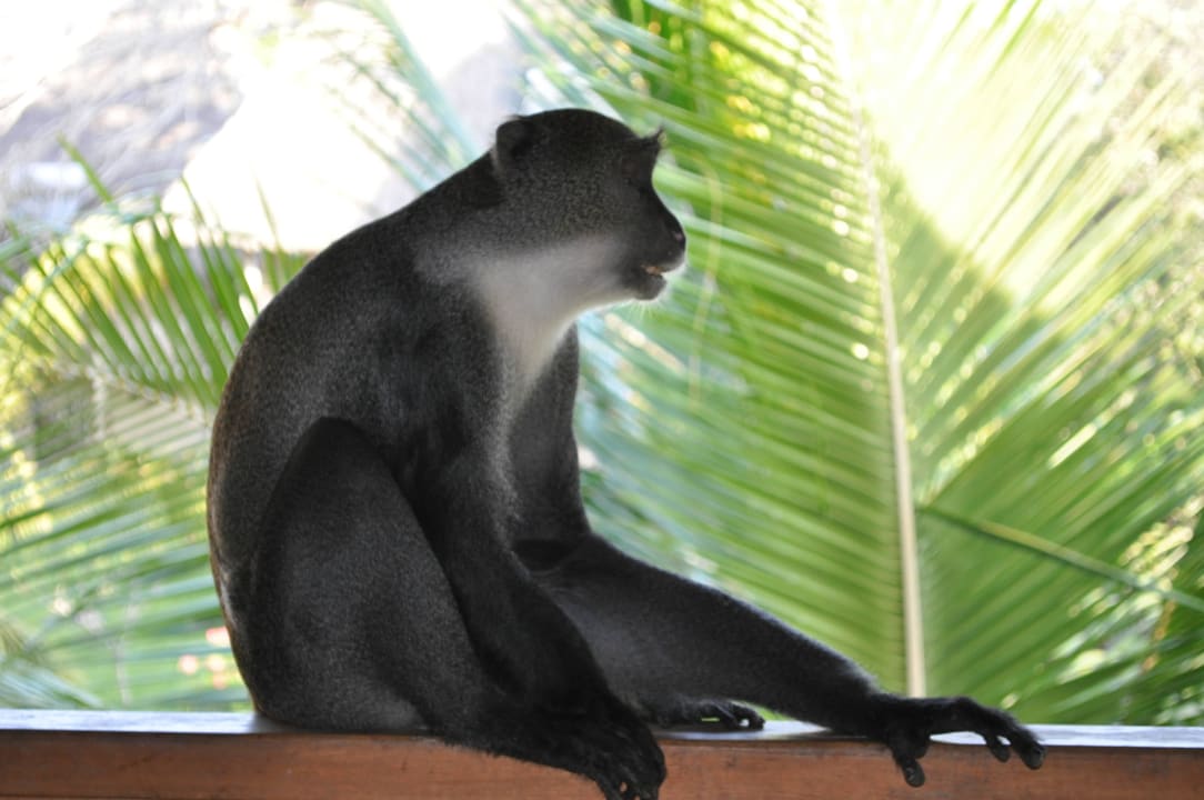 Hotel Neptune Paradise Beach Resort & Spa