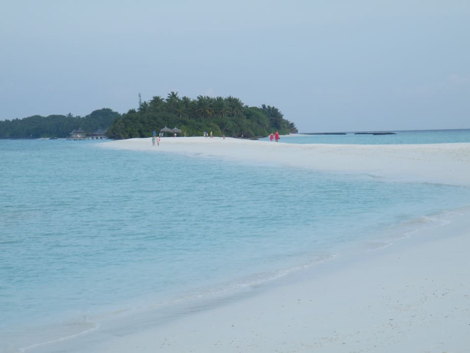Die Sandbank am Ende der Insel Kuramathi Maldives