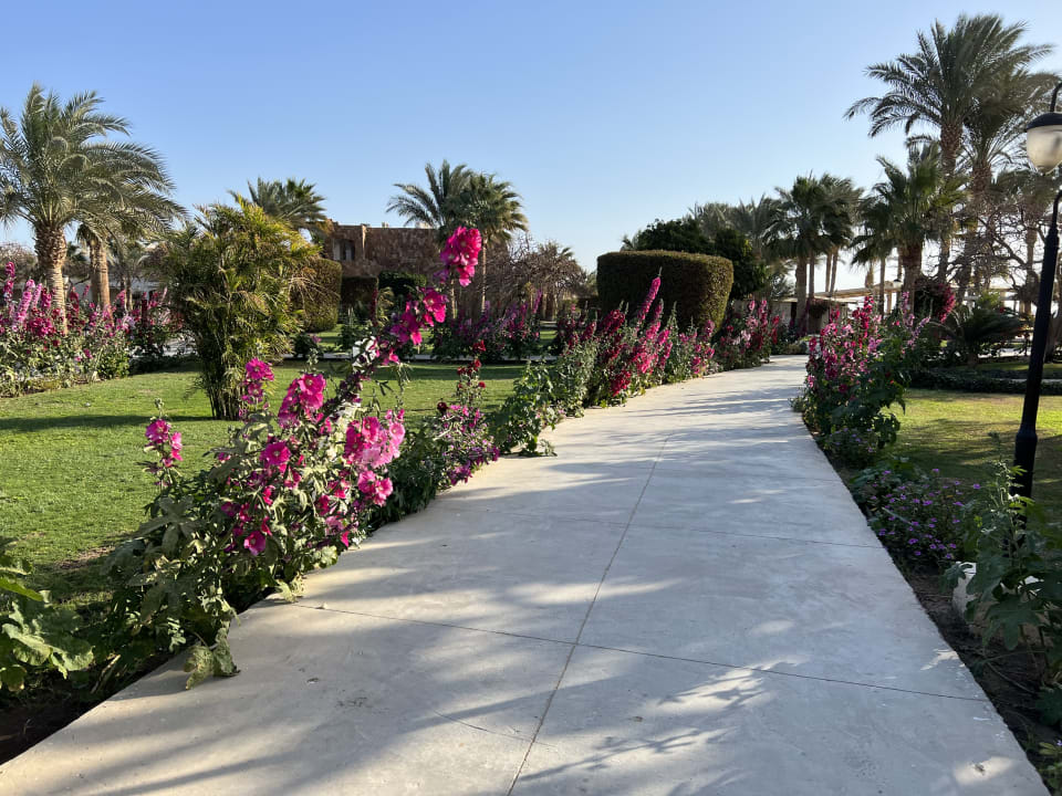 Gartenanlage Brayka Bay Resort