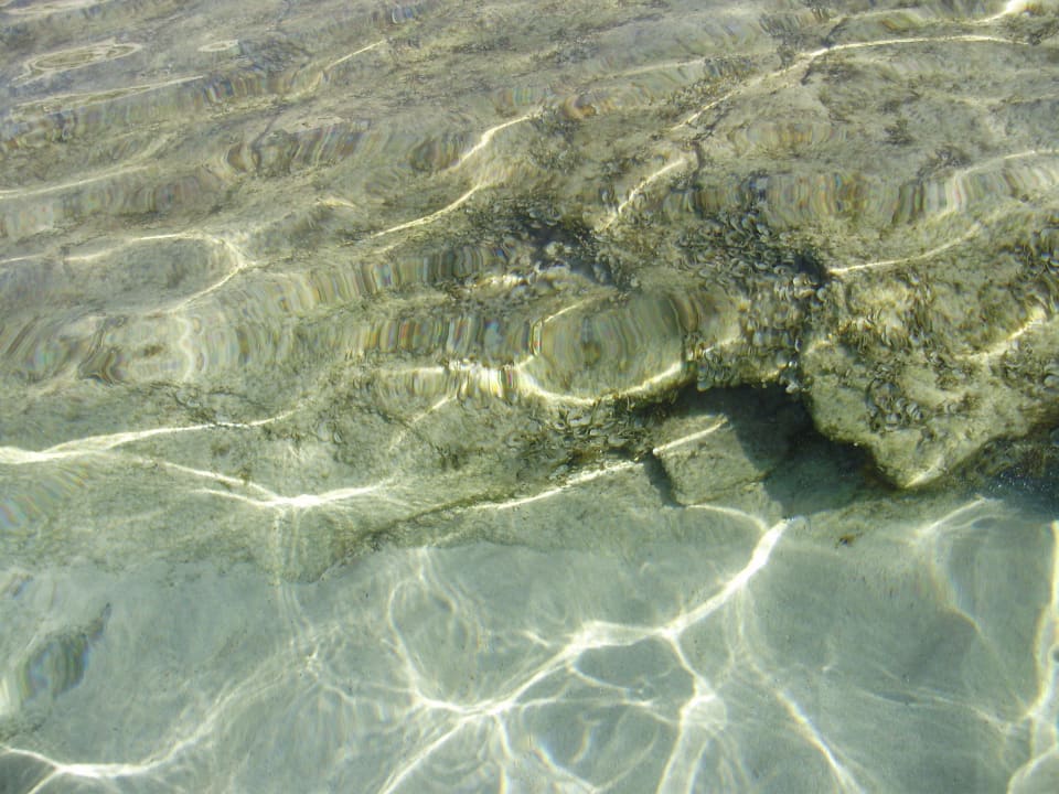 Super klares Wasser allsun Hotel Borneo - Adults only