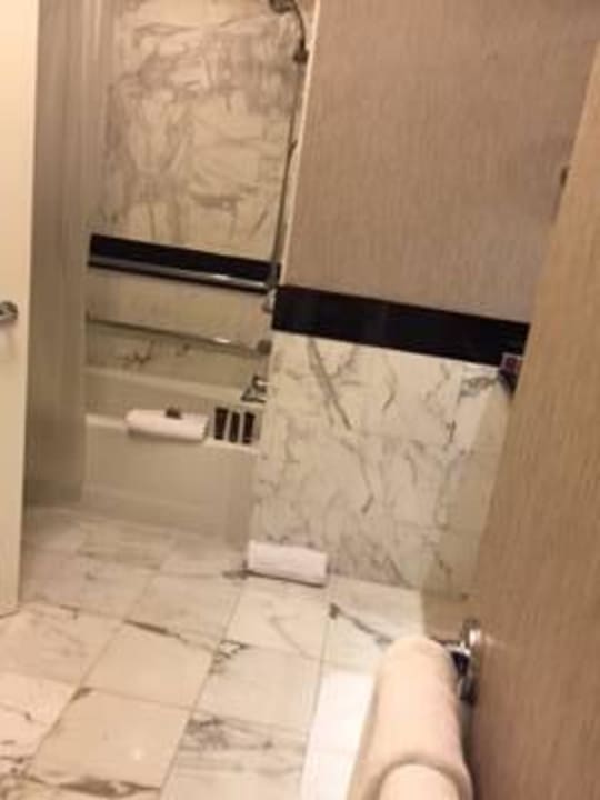 Bad Hotel The Ritz-Carlton South Beach