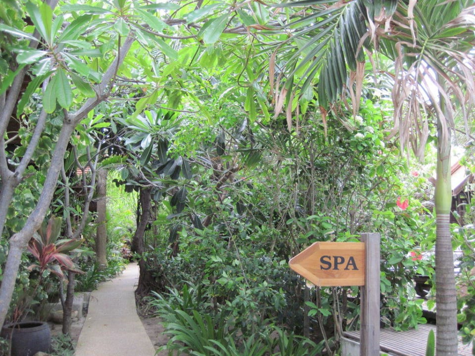 Wege im Grün Samui Paradise Chaweng Beach Resort & Spa