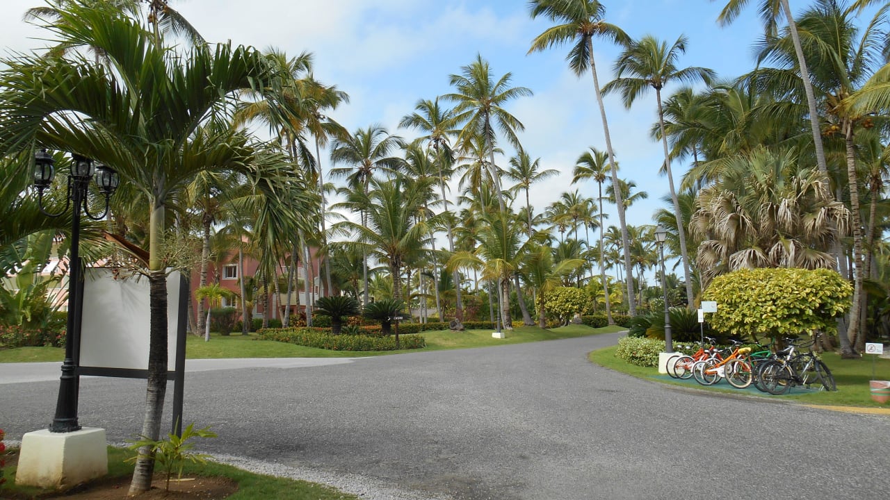 Schöne gepflegte Gartenanlage TRS Turquesa Hotel - Adults only