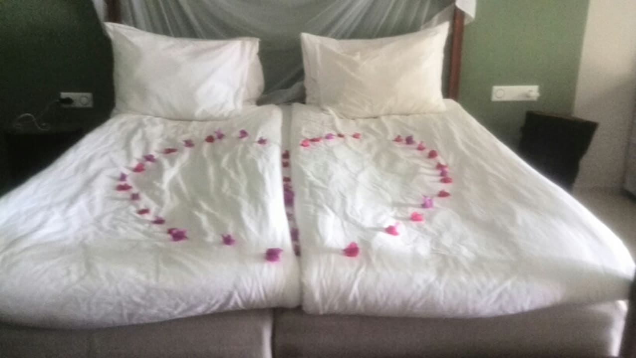 Zimmer TUI BLUE Tamala