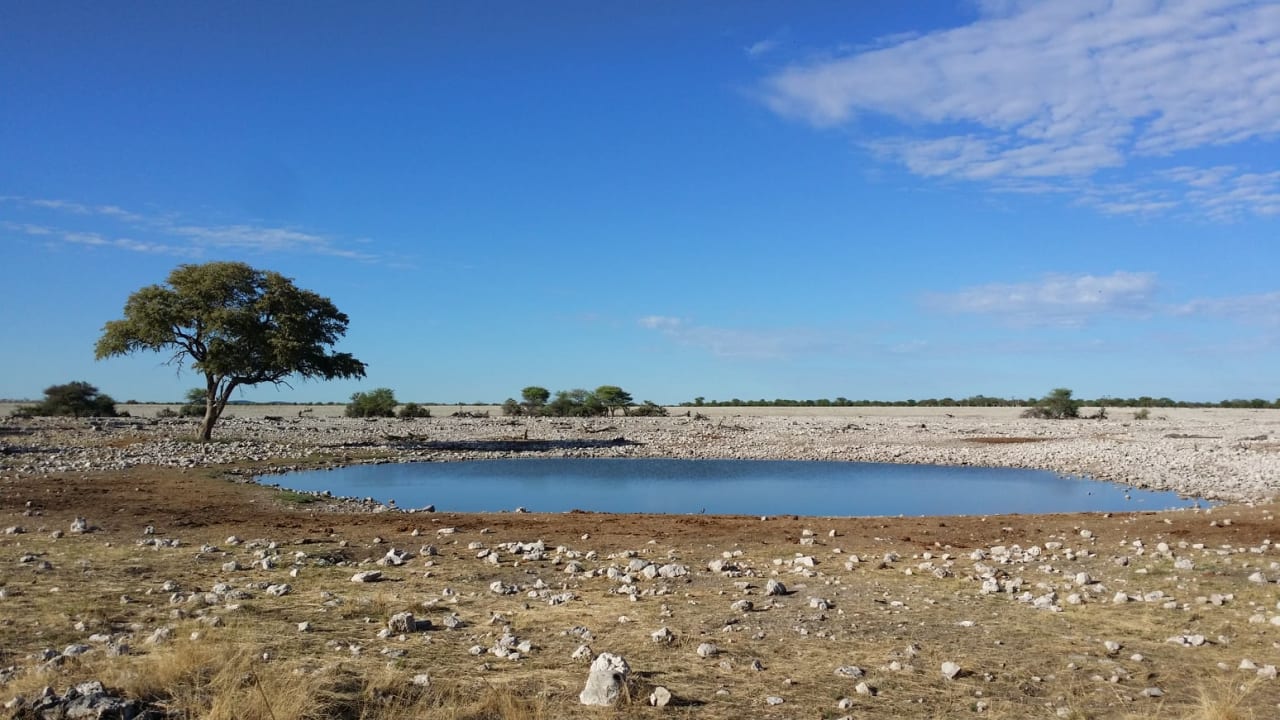Gartenanlage Okaukuejo Camp