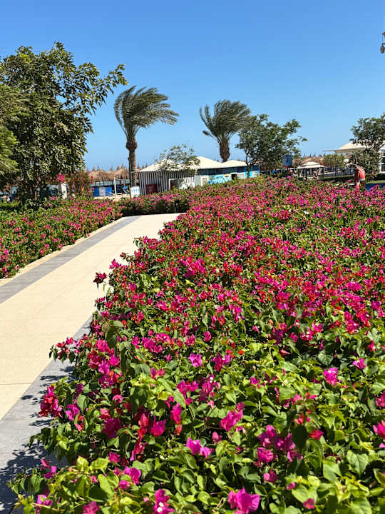 Gartenanlage Titanic Royal