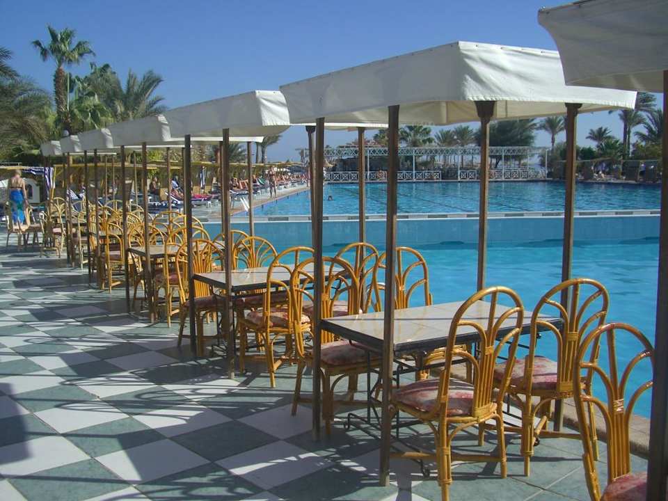 Poolbereich Arabia Azur Resort