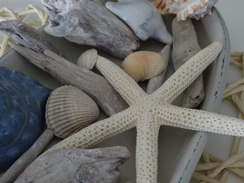 Sonstiges Apartment 1904